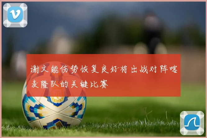 谢文能伤势恢复良好将出战对阵喀麦隆队的关键比赛